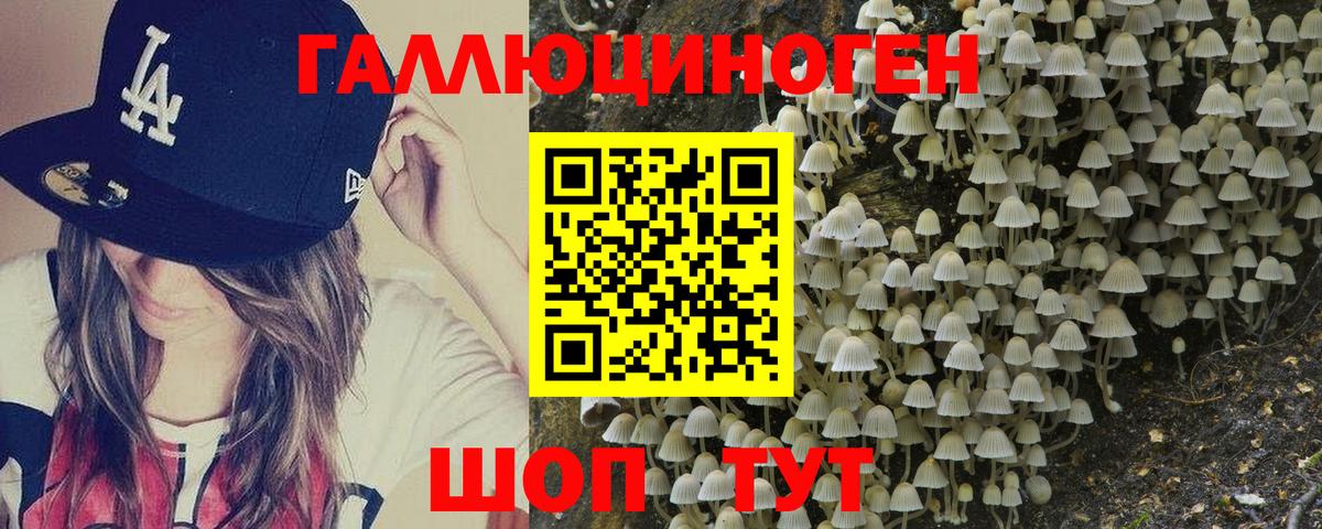 Коркино  Галлюциногенные грибы ЛСД  Вход с VPN  Галлюциногенные грибы Magic Shrooms 